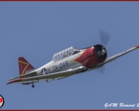 TSR Watermark - 0433